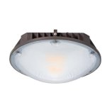 LED Canopy Luminaire