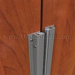 Anodized Aluminum