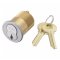 Accentra 2196-112 1-1/2″ Mortise Cylinder, LFIC, with 1765.656 Sized Colla