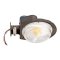 Topaz ARL-BL-60WPCTS LED Outdoor Area Light Power & CCT Selectable Bronze finish