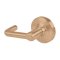 Schlage Tubular Door Handle, ND Series  - Custom Options