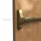 Falcon Exit Device in US10 Finish Applied on Door 