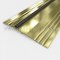 NGP 896 Latching Panic Exit Threshold in BR Finish with NGP-TPV Seal