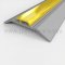 Threshold cap mounted on saddle threshold
