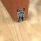 Automatic Door Bottom 434NBL with Double Nylon Brush Seal Applied in Wooden Door with Seal Raised