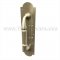 Polished Brass