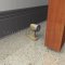 Rockwood 482 Heavy Duty Cast Brass Floor Mounted Door Stop Applied