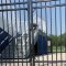 Locinox LUKYJ5 Gate Lock installed on sports ground gate