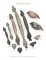 Decorative Hardware