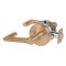 Schlage Longitude Door Handle, Mechanical Door Handle, ND Series, Non-Keyed Function  - Custom Options